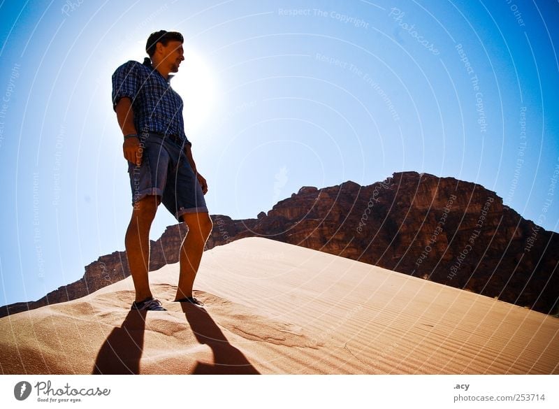 Wüstenfuchs maskulin Junger Mann Jugendliche Erwachsene 1 Mensch 18-30 Jahre Landschaft Sand Wolkenloser Himmel Sonne Sommer Klima Schönes Wetter Wadi Rum Düne
