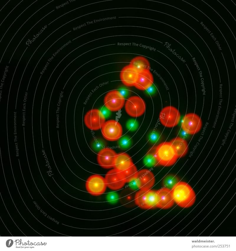 Bald ist Weihnachten glänzend gelb grün rot Vorfreude Weihnachtsbaum Weihnachtsbeleuchtung mehrfarbig Außenaufnahme Experiment abstrakt Nacht Lichterscheinung