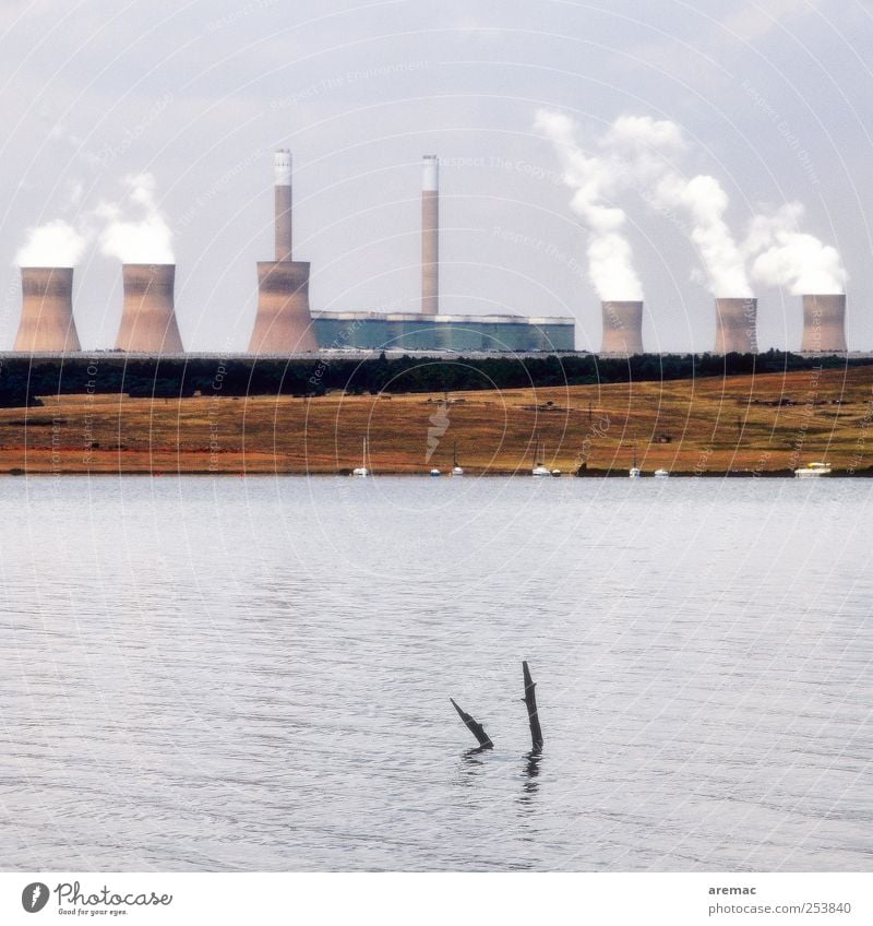 Waldsterben Energiewirtschaft Kohlekraftwerk Energiekrise Natur Wasser Herbst Klimawandel Seeufer Südafrika Menschenleer Stromkraftwerke Kühlturm Umwelt