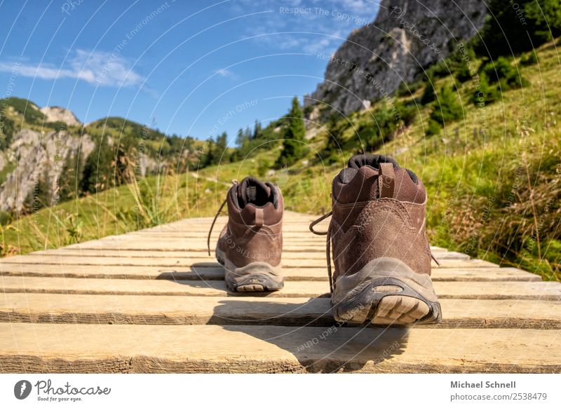 Wandern! Freizeit & Hobby Ferien & Urlaub & Reisen Berge u. Gebirge wandern Wanderschuhe Umwelt Natur Landschaft Alpen Tannheimer Tal Schuhe Fitness frisch