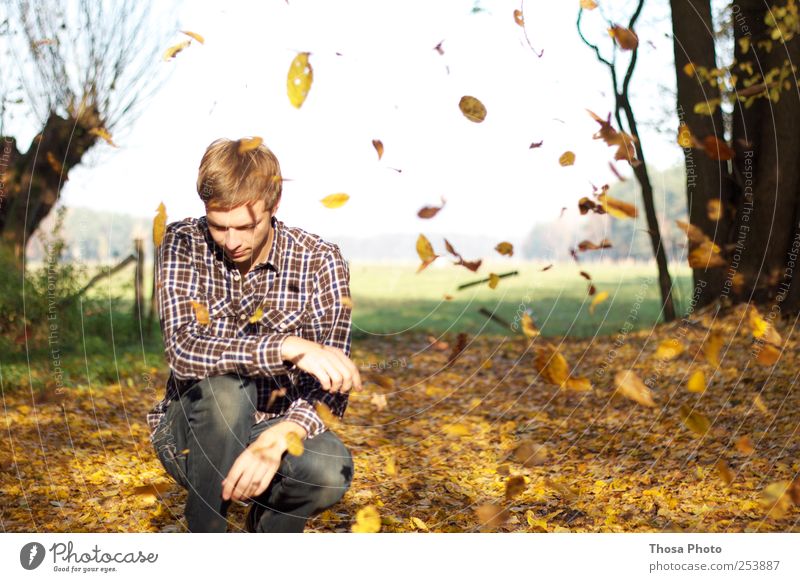 blättermeer maskulin Jugendliche 1 Mensch 18-30 Jahre Erwachsene Natur Herbst Schönes Wetter Baum Blatt Hemd brünett frei Glück gelb gold ruhe ruhig Herbstlaub