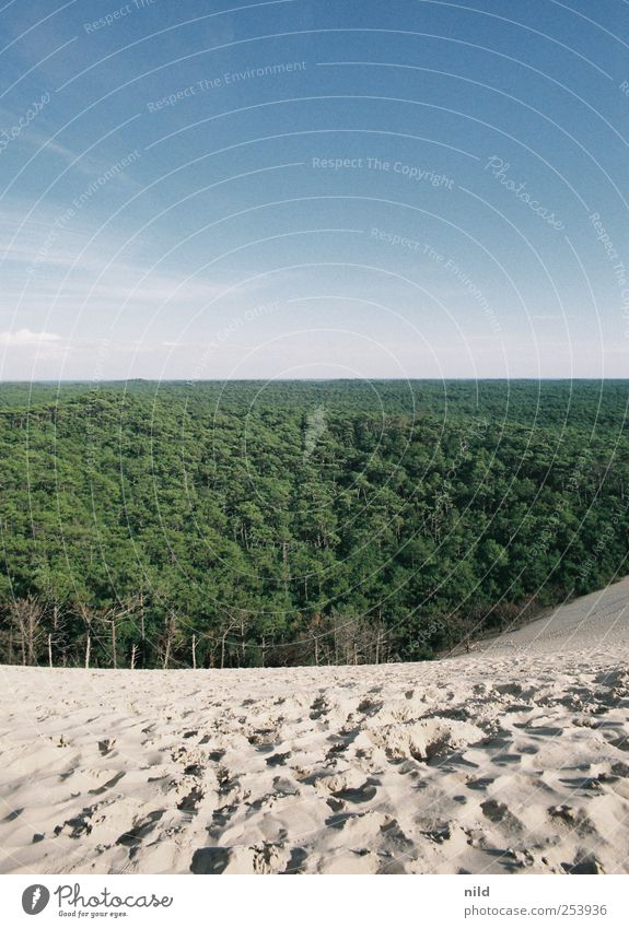 Dünenwandern Ferien & Urlaub & Reisen Tourismus Ferne Sommer Frankreich Arcachon Naturschutzgebiet Umwelt Landschaft Pflanze Tier Sand Himmel Horizont Baum Wald