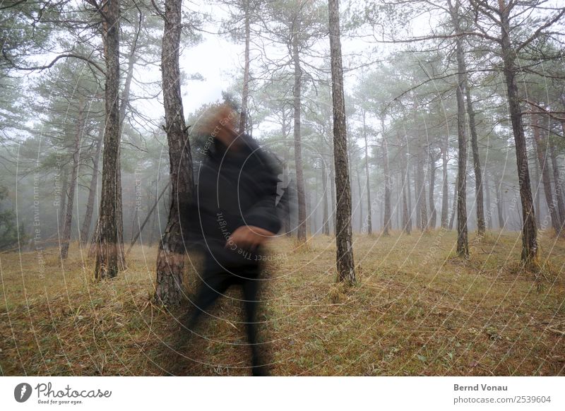 Unscharfe Gestalt rennt durch den Wald Mensch 1 Umwelt Natur Herbst Wetter Nebel Pflanze Baum Gras laufen rennen Flucht Unschärfe Joggen grau Stimmung ungenau