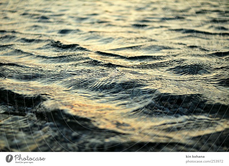 flut Erholung ruhig Erneuerbare Energie Landschaft Urelemente Wasser Wellen Meer See genießen träumen Traurigkeit Unendlichkeit kalt nass blau trösten Trauer