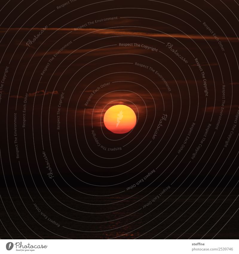 glut Umwelt Natur Sonne Sonnenaufgang Sonnenuntergang Sonnenlicht Sommer Klimawandel heiß Wärme Wetterschutz Farbfoto Menschenleer Textfreiraum links