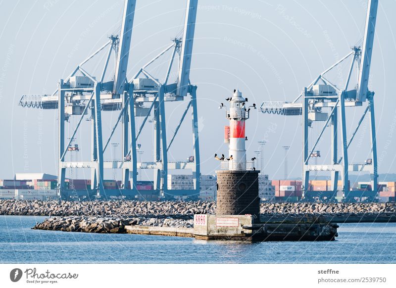 . Schifffahrt Hafen blau Leuchtturm Hafenkran Dänemark aarhus Kormoran Farbfoto Außenaufnahme Menschenleer Textfreiraum unten Tag