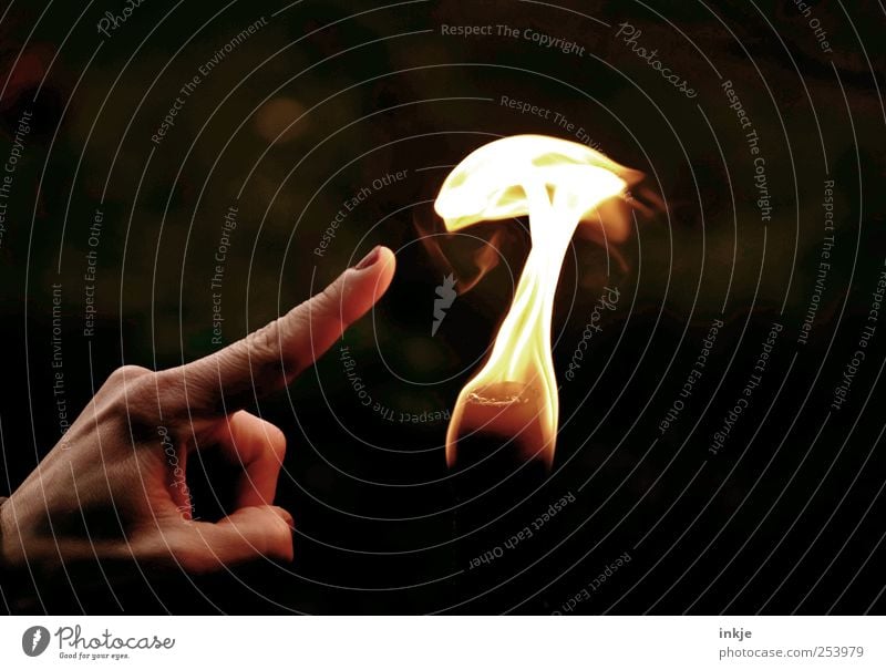 Spiel mit dem Feuer... Freizeit & Hobby Spielen Leben Hand Finger Wärme Flamme berühren dunkel heiß hell Gefühle Stimmung Mut Selbstbeherrschung Neugier