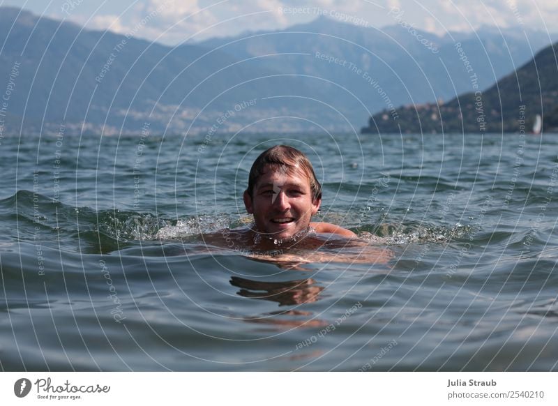 Schwimmen genießen Aussicht See maskulin Mann Erwachsene 1 Mensch 30-45 Jahre Natur Wasser Sommer Schönes Wetter Berge u. Gebirge Lago Maggiore brünett Bewegung