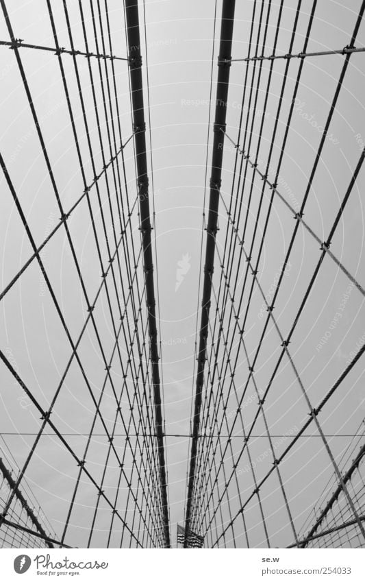 Im Netz New York City Brücke Seil Brooklyn Bridge Tourismus Ferne Linie Fahne Stars and Stripes Schwarzweißfoto Außenaufnahme abstrakt Strukturen & Formen