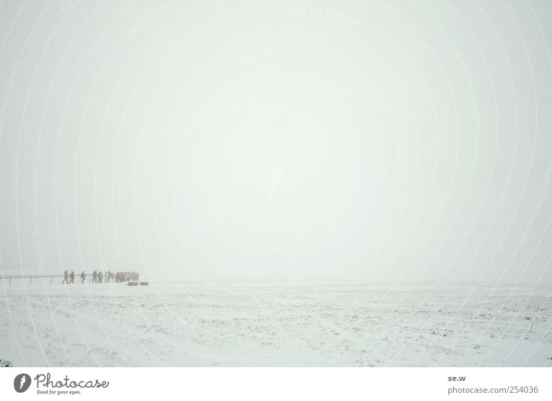 Weiß Winter wandern Mensch Menschengruppe Urelemente Himmel Wetter Nebel Schnee Feld Berge u. Gebirge Unendlichkeit kalt weiß ruhig Ferne Wandergruppe Farbfoto