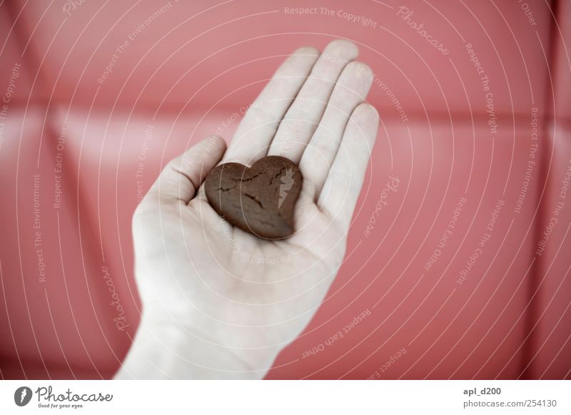 Herz auf Hand Lebensmittel Teigwaren Backwaren Schokolade Ernährung Mensch maskulin 1 festhalten süß braun rot Glück Lebensfreude Liebe reich schokoherz