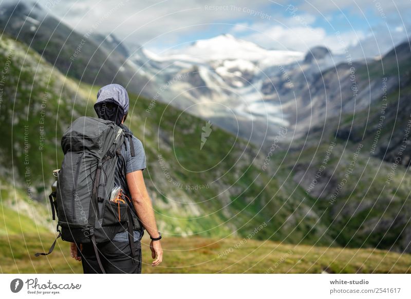 Da rauf? Mann Erwachsene wandern Panorama (Aussicht) Berge u. Gebirge Bergsteigen Großglockner Hohen Tauern NP Österreich Natur Naturschutzgebiet Naturliebe