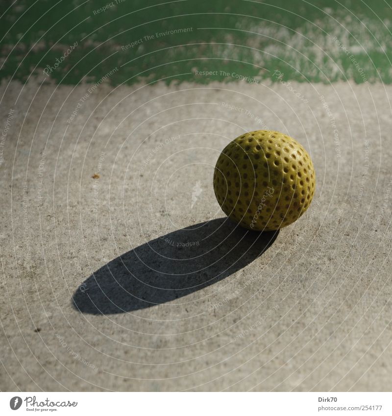 Ruhe vor dem Schlag Freizeit & Hobby Minigolf Ballsport Golf Golfplatz Minigolfbahn Spielplatz Golfball Beton Kunststoff Kugel Kreis rund kreisrund