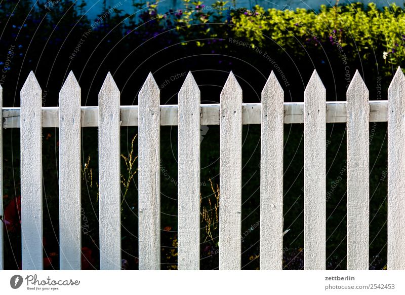Zaun Gartenzaun Holzzaun staketen Zaunpfahl Holzbrett Nachbar Grenze Barriere Textfreiraum Menschenleer weiß Neugier Spitze