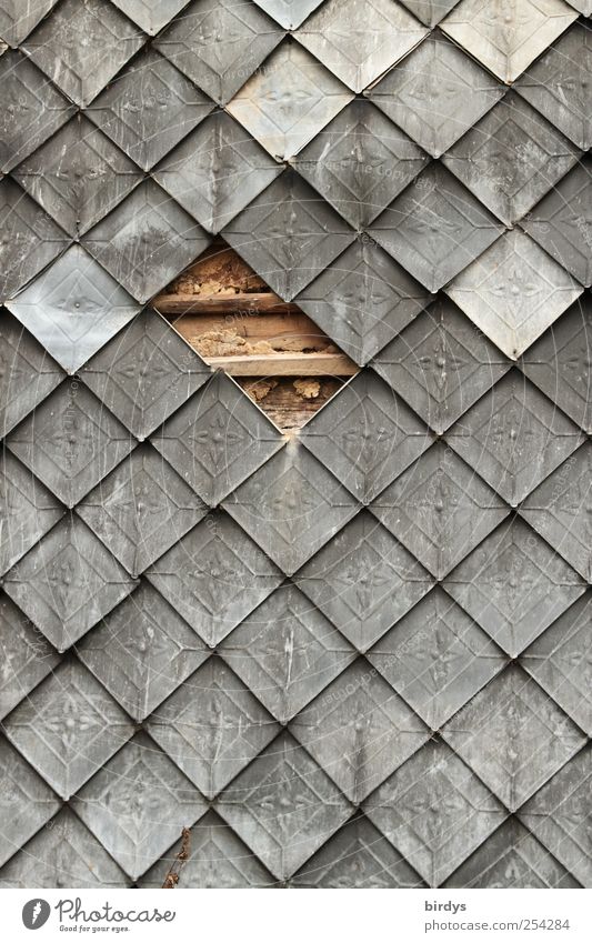 Zwei Abtrünnige Bauwerk Fassade Metall hängen historisch Originalität grau Präzision Symmetrie Verfall Wandel & Veränderung Dachziegel Wandtäfelung Quadrat