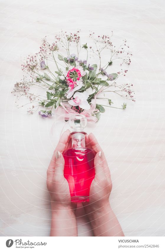 Parfüm in weiblichen Hände mit Blumen Stil Design schön Kosmetik Parfum Spa feminin Frau Erwachsene Hand Natur Blüte rosa Hintergrundbild Blog