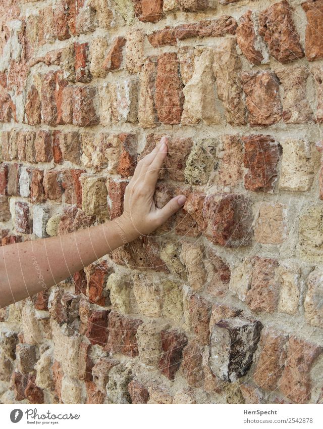 brick touch Frau Erwachsene Arme Hand 1 Mensch 18-30 Jahre Jugendliche 30-45 Jahre Altstadt Haus Gebäude Mauer Wand ästhetisch Neugier Erotik trocken feminin