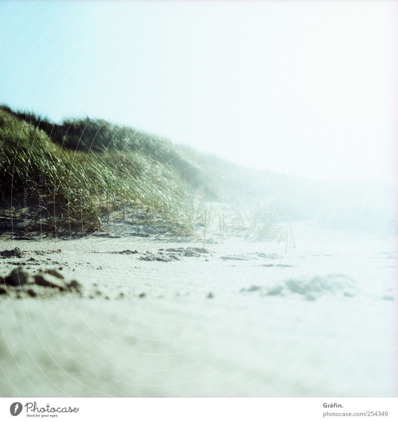 Am Strand Sand Wolkenloser Himmel Sonnenlicht Herbst Küste Stranddüne leuchten Ferne Unendlichkeit blau grün weiß Natur ruhig Ferien & Urlaub & Reisen hell