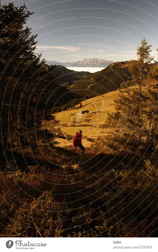 Herbstwanderung Tourismus Berge u. Gebirge wandern 1 Mensch 45-60 Jahre Erwachsene Umwelt Natur Landschaft Schönes Wetter Hügel Felsen Alpen Gipfel