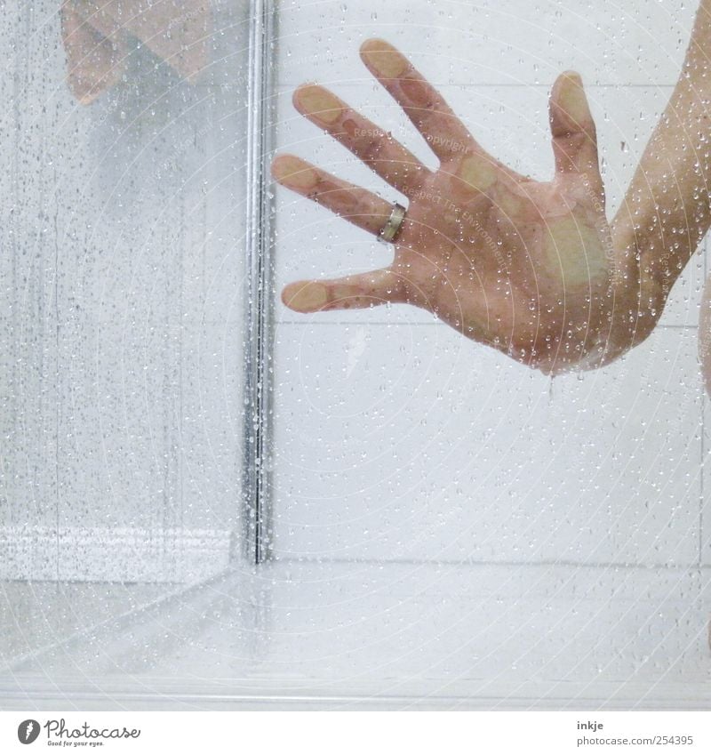Hand Körperpflege Bad Unter der Dusche (Aktivität) Leben Handfläche 1 Mensch Wassertropfen Dusche (Installation) Tropfen berühren machen nah nass Sauberkeit