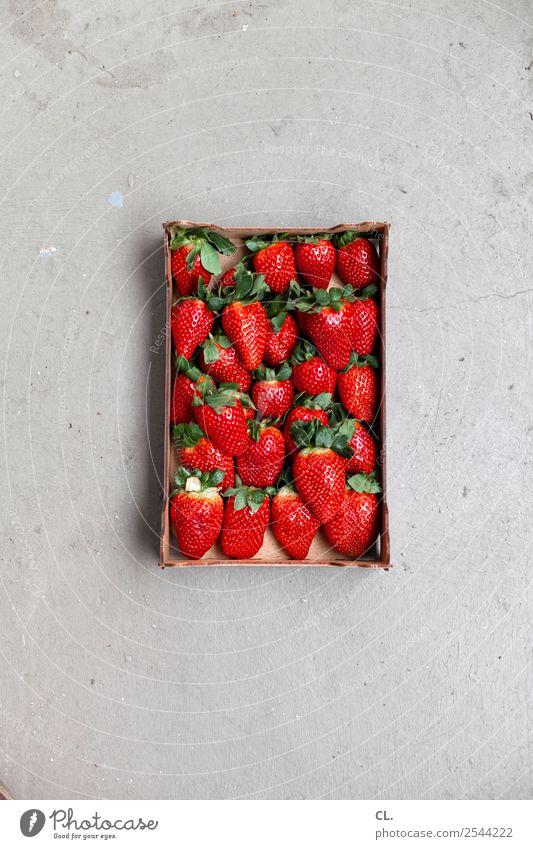 erdbeeren Lebensmittel Frucht Erdbeeren Ernährung Essen Bioprodukte Vegetarische Ernährung Diät Fasten Gesunde Ernährung Sommer Karton Boden Gesundheit lecker