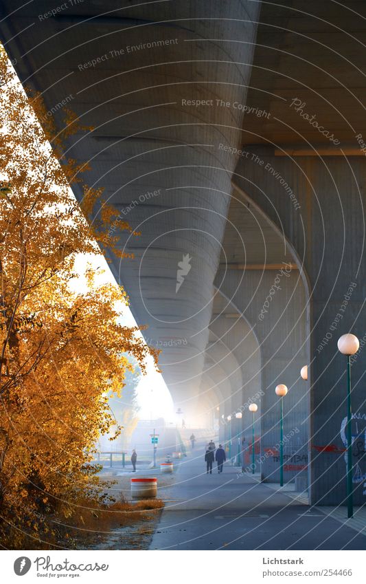 zum licht Freizeit & Hobby Ausflug Städtereise Mensch 4 Wien Österreich Hauptstadt Stadtrand bevölkert Park Brücke Architektur Mauer Wand Straßenbeleuchtung