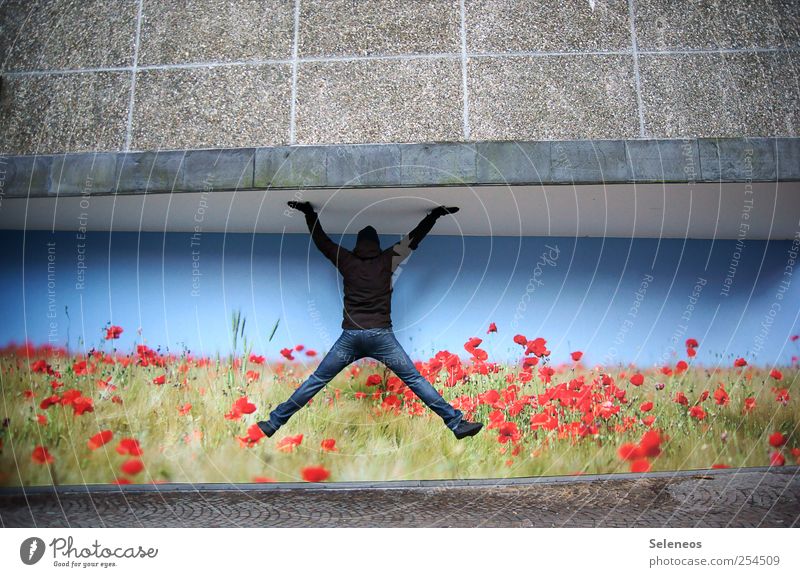 Deckenhalter Freizeit & Hobby Mensch Mann Erwachsene 1 Kunst Umwelt Natur Wolkenloser Himmel Pflanze Blume Mauer Wand Fassade Jeanshose Jacke Stein Beton