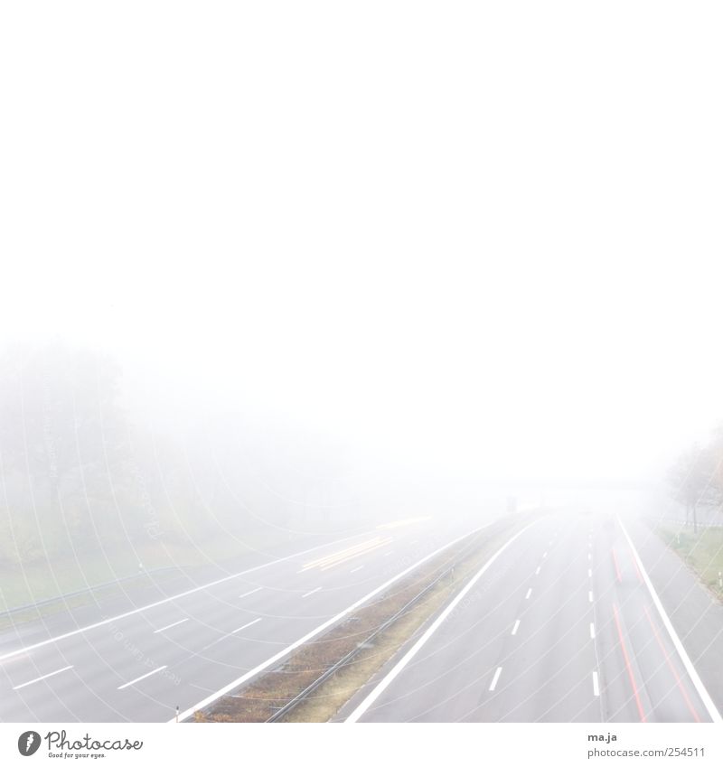 Dichter Nebel überm photocase-Land Verkehr Verkehrswege Autobahn braun grau grün weiß Bewegung Farbfoto Gedeckte Farben Außenaufnahme Morgendämmerung