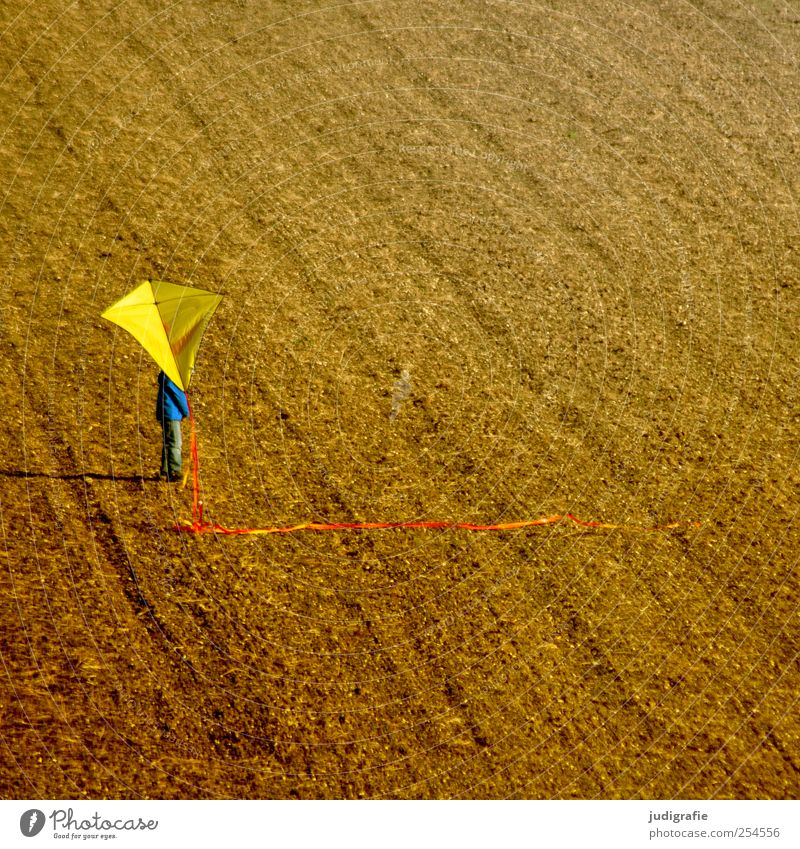 Herbst Freizeit & Hobby Spielen Mensch Kind 1 Spielzeug stehen gelb Lenkdrachen Feld Erde Farbfoto mehrfarbig Außenaufnahme Tag