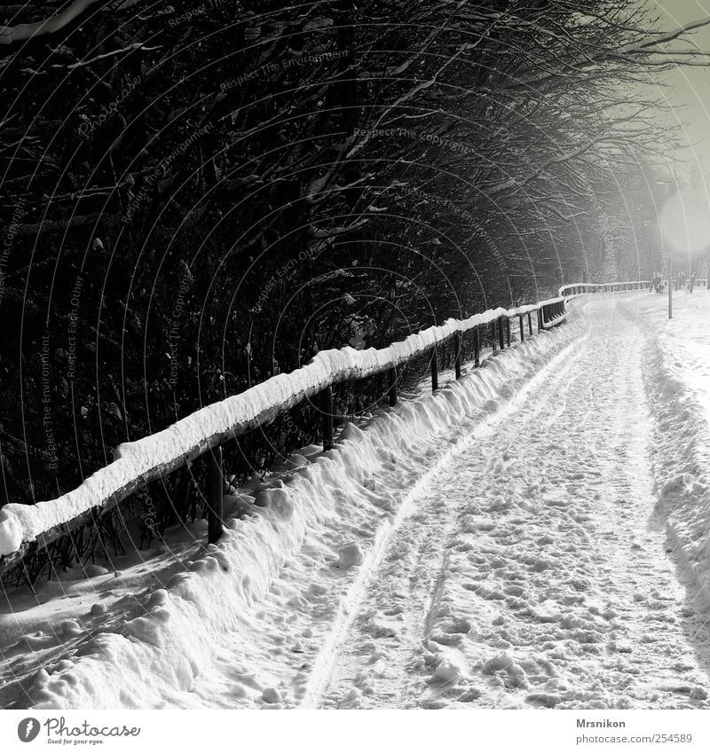 in die ferne Natur Landschaft Winter Eis Frost Schnee Baum Park Feld Wald Wege & Pfade dunkel grau schwarz bizarr kalt Schwarzweißfoto Gedeckte Farben