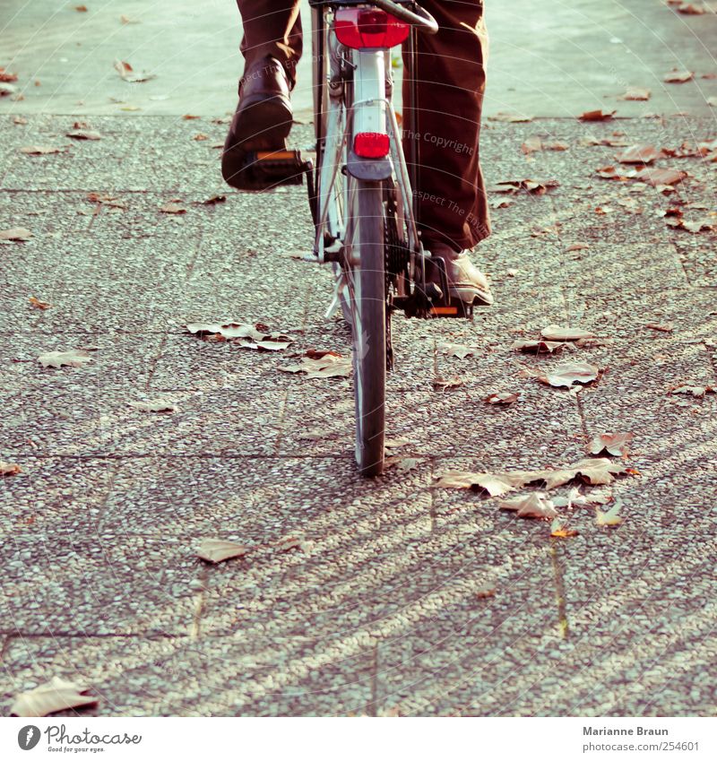 Durch den Herbst Fahrradfahren Blatt Bürgersteig braun grau rot Rad Herbstlaub Ahornblatt treten aufwärts Rückansicht Reifen Park Bewegung Schuhe Hose Mensch