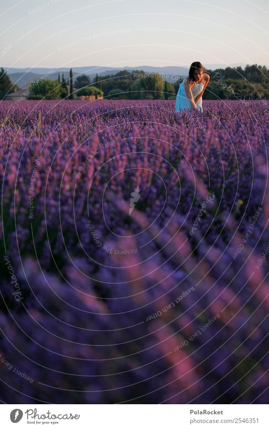 #A# Lavendel-Pflücker Umwelt Natur Landschaft ästhetisch Provence Frankreich violett Lavendelfeld Frau Farbfoto mehrfarbig Außenaufnahme Experiment abstrakt
