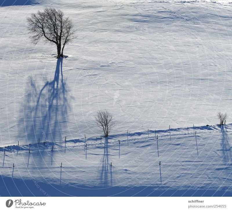 FRdrumrum | Schattenwurf Landschaft Winter Eis Frost Schnee Pflanze Baum kalt weiß Berghang Weide Schattenspiel Zaun Sonnenlicht Außenaufnahme Menschenleer