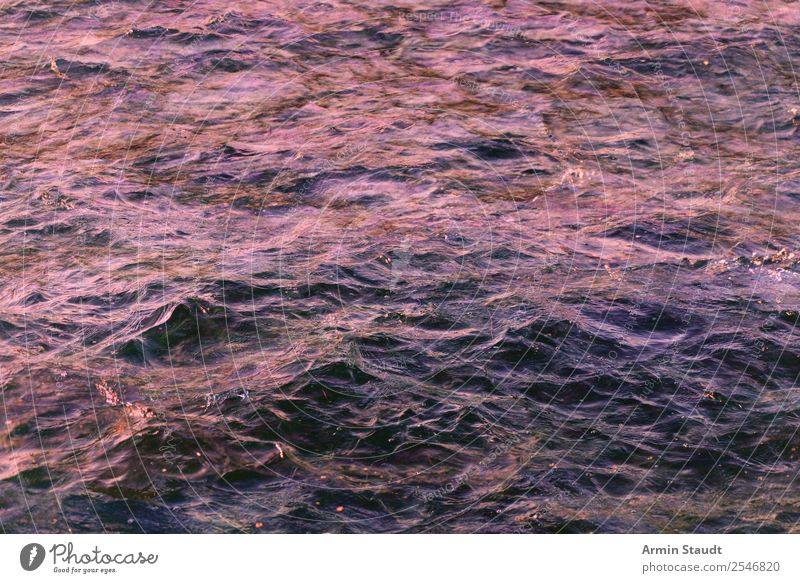 Meer Umwelt Natur Urelemente Wasser Frühling Sommer Herbst Winter Wellen ästhetisch bedrohlich Flüssigkeit frisch glänzend violett Stimmung Kraft Design Energie