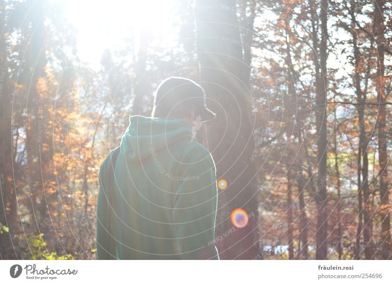 durch den Wald maskulin Rücken Natur Herbst Mütze laufen Farbfoto Außenaufnahme Sonnenlicht Sonnenstrahlen
