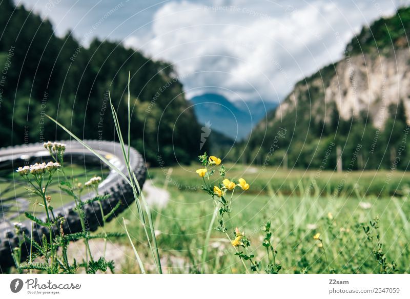 Transalp, Inntal Freizeit & Hobby Ferien & Urlaub & Reisen Fahrradtour Sommerurlaub Berge u. Gebirge Sport Fahrradfahren Natur Landschaft Schönes Wetter Gras