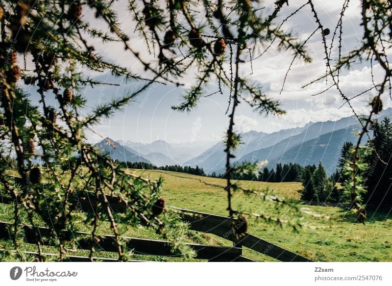 Richtung Inntal Ferien & Urlaub & Reisen Tourismus Ausflug Sommer Sommerurlaub wandern Natur Landschaft Himmel Sonne Schönes Wetter Wiese Alpen Berge u. Gebirge