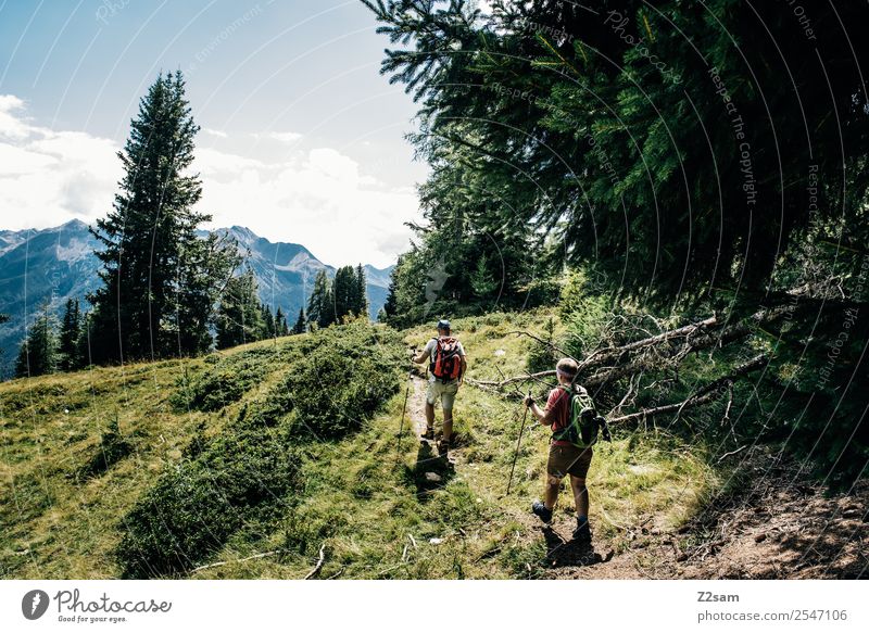 Wanderer | Pitztaler Alpen | Österreich Lifestyle Freizeit & Hobby Ferien & Urlaub & Reisen Abenteuer wandern Paar Partner 2 Mensch 30-45 Jahre Erwachsene Natur
