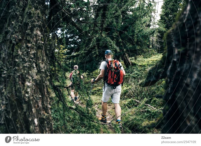 E5 Freizeit & Hobby Ferien & Urlaub & Reisen Berge u. Gebirge wandern maskulin feminin Weiblicher Senior Frau 2 Mensch 60 und älter Natur Landschaft Wald