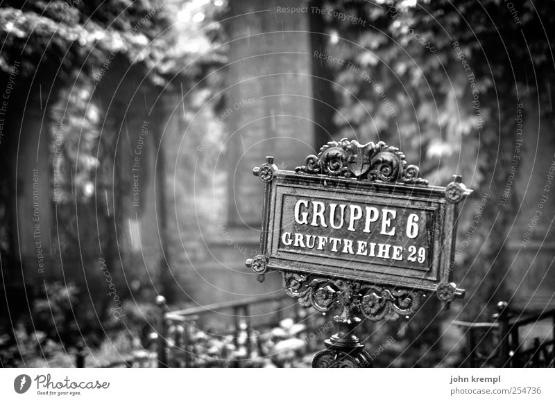 Kuschelgruppe schlechtes Wetter Regen Efeu Blatt Wien Zentralfriedhof Österreich Friedhof dunkel historisch Mitgefühl friedlich trösten Wahrheit Hoffnung