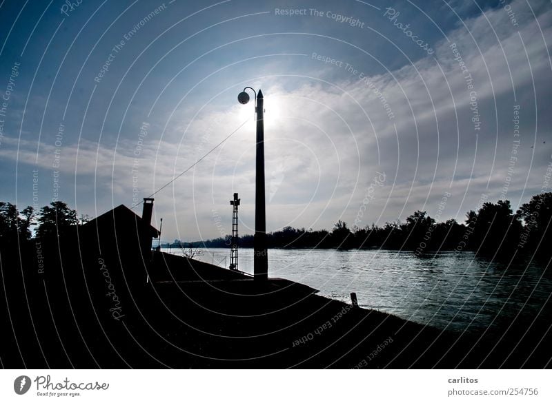 Gegenlicht am Rhein Urelemente Luft Wasser Himmel Sonne Schönes Wetter Flussufer glänzend Reflexion & Spiegelung Haus Strommast leuchten Beleuchtung