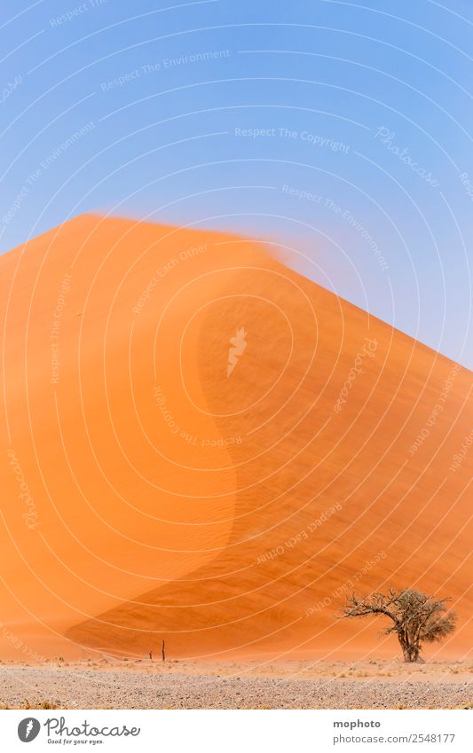Sandsturm im Sossusvlei #2 Ferien & Urlaub & Reisen Tourismus Ausflug Ferne Safari Umwelt Natur Landschaft Klima Wetter schlechtes Wetter Unwetter Wind Sturm
