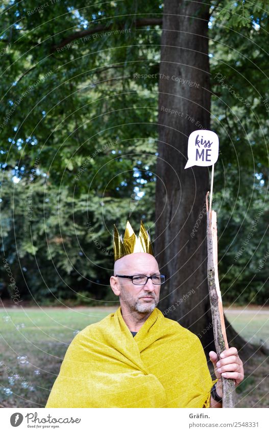 Mann sitzt im Park im Königskostüm Spielen verkleiden maskulin Erwachsene 1 Mensch 30-45 Jahre Landschaft Baum Wiese Krone Schilder & Markierungen sitzen warten