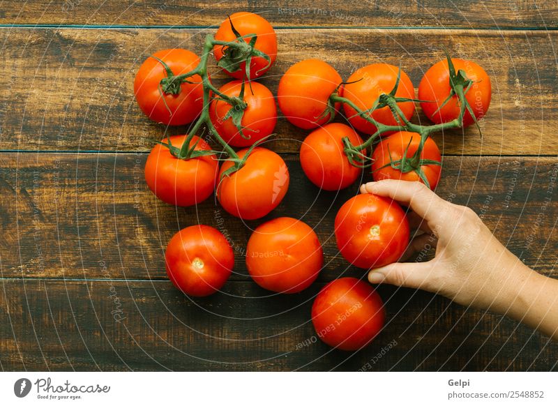 Tomaten Gemüse Frucht Vegetarische Ernährung Diät schön Küche Frau Erwachsene Hand Natur Pflanze Blatt Holz wählen dunkel frisch nass natürlich grün rot weiß