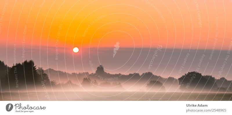 Mystischer Sonnenaufgang im Teufelsmoor Natur Landschaft Himmel Herbst Schönes Wetter Nebel Feld Moor Worpswede Deutschland positiv orange Romantik ruhig