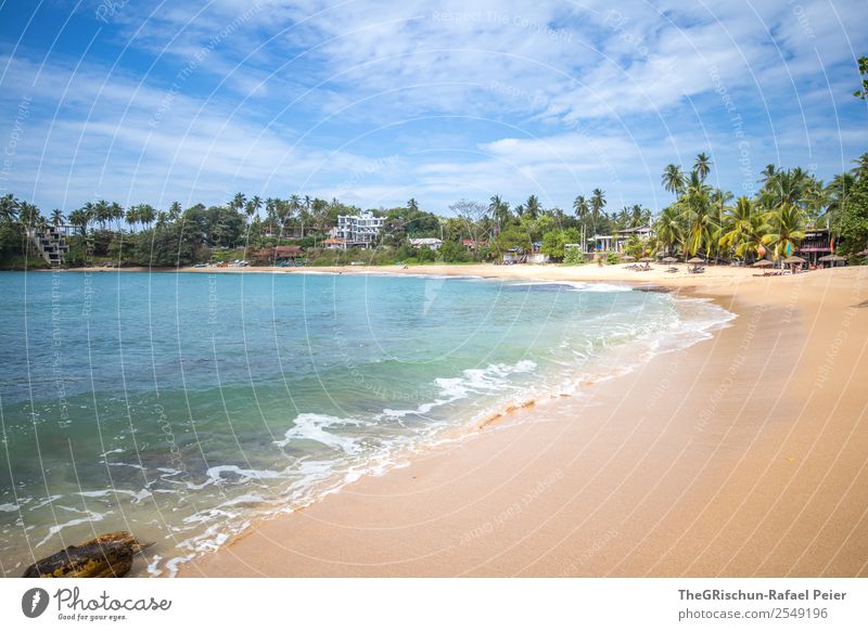 Strand Natur blau braun türkis weiß Sandstrand Ferien & Urlaub & Reisen Sri Lanka Meer Erholung Schwimmen & Baden Palme Wolken Gischt Farbfoto Außenaufnahme