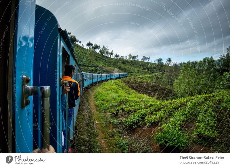 Zugfahrt Natur Landschaft blau grün orange Sri Lanka Tee Plantage Feld Aussicht Baum Idylle Eisenbahn Güterverkehr & Logistik Bahnfahren Farbfoto Außenaufnahme