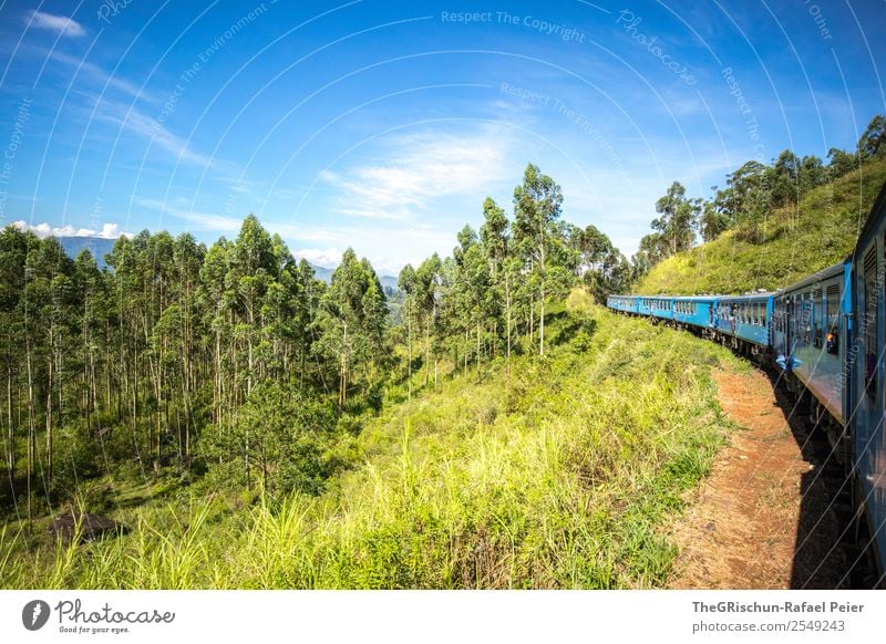 Fahrt ins Blaue Umwelt Natur Landschaft blau grün weiß Bahnfahren Abenteuer Sri Lanka Idylle Ausflug Feld Tourismus Farbfoto Außenaufnahme Textfreiraum oben Tag