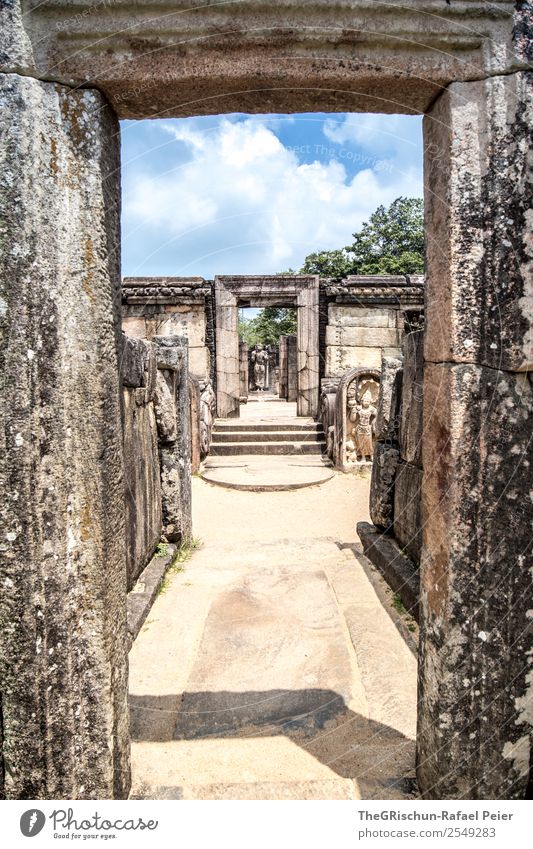 Polonnaruwa Mauer Wand Sehenswürdigkeit Wahrzeichen Denkmal alt braun Weltkulturerbe Kultur Sri Lanka Tourismus Geschichtsbuch Stein Statue königlicher Palast