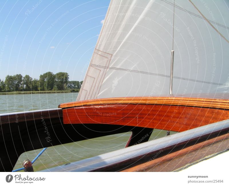 Segeln Sommer Segelboot Wasserfahrzeug Europa Sonne & Wind